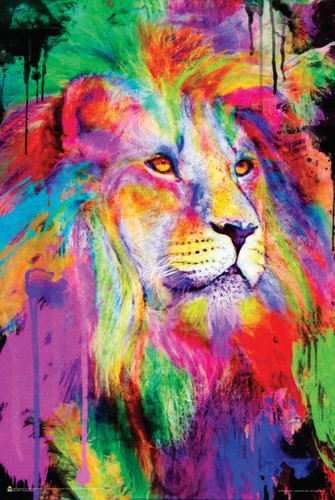 Rainbow king aimee - rainbow,