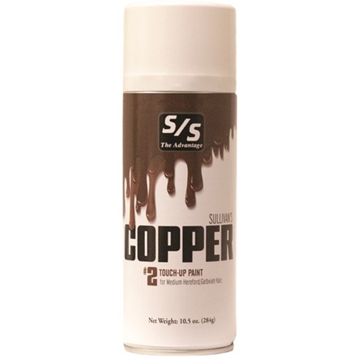 Sullivan copper touch up - touch,