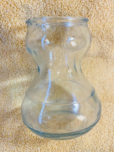 Hyacinth glass vase forced - glass,