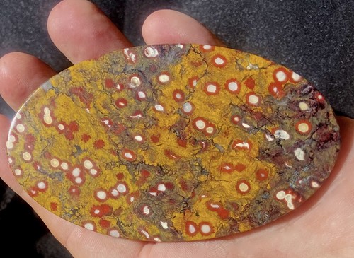 Gudalupe poppy jasper - gudalupe,