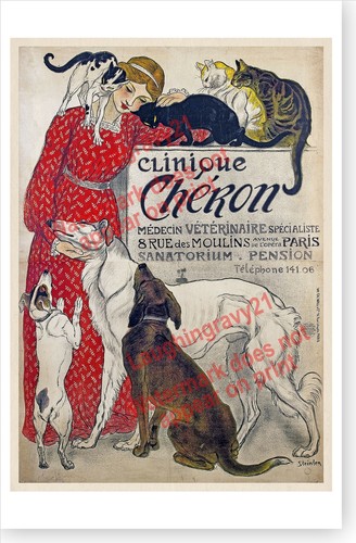 French clinique cheron cats - french,