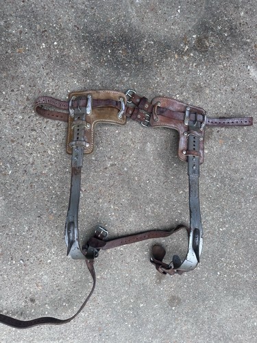 Pair klein sons - &, 8210