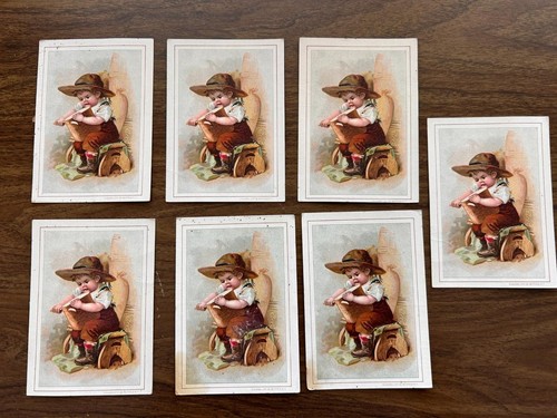 Lot victorian store trade - lot, 7