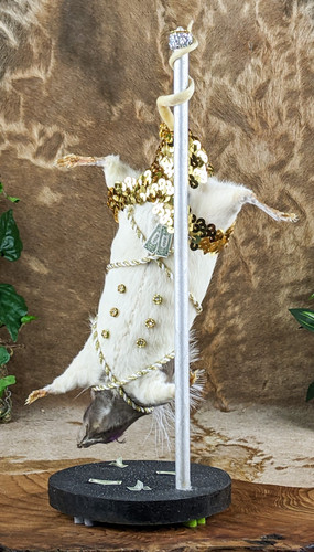 Stripper rat pole - rat, burlesque