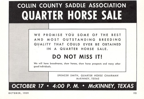 Collin county saddle assoc - collin,