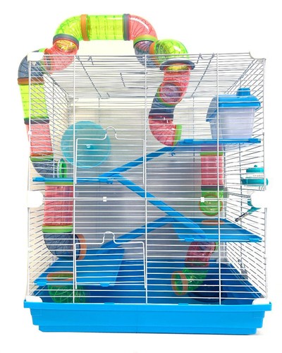 Large happy fun land - large,