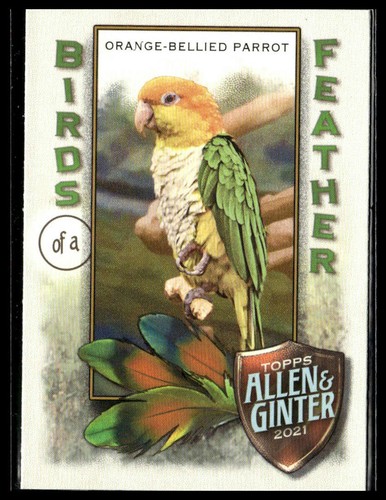 Rose breasted cockatoo 2021 - breasted,