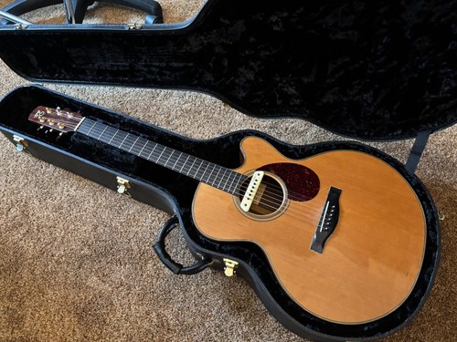 Santa cruz acoustic guitar - cruz, fs