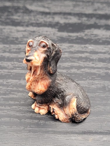 Dachshund wiener dog mini - dachshund,