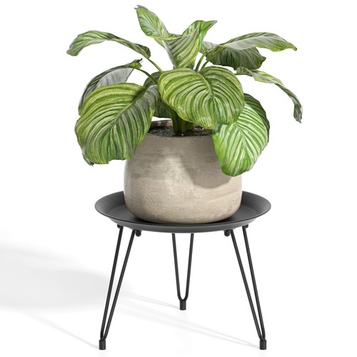 Indoor metal plant - indoor,