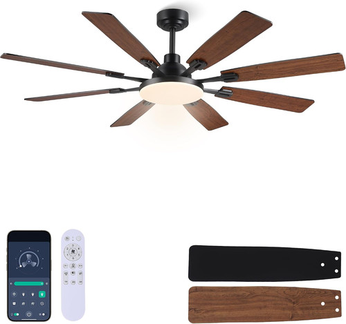 Ceiling fan with - fan, light