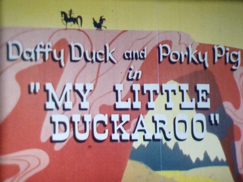 Daffy porky my - daffy,