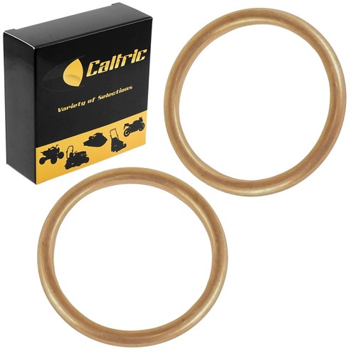 Pack exhaust pipe gasket - 2-pack,