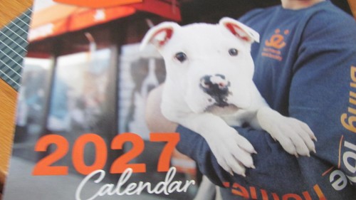 2027 best friends animal - best,