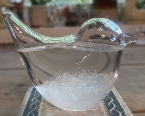 Bird shaped storm - , glass