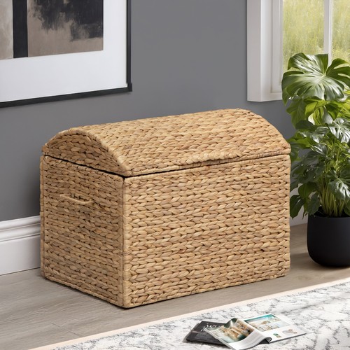 Ehemco water hyacinth storage - hyacinth,