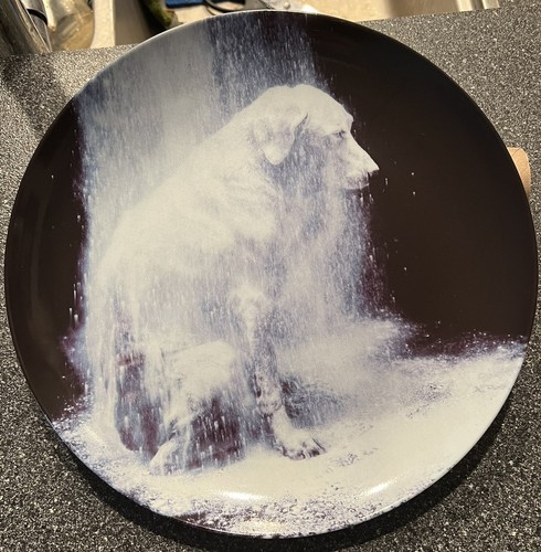Swid powell william wegman - swid,