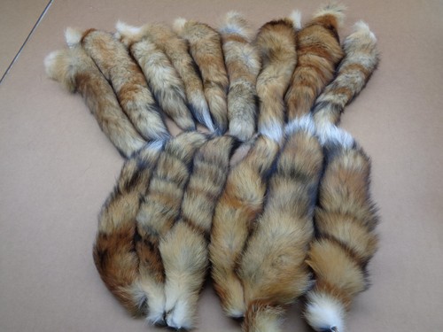 Quality tanned red fox - quality,
