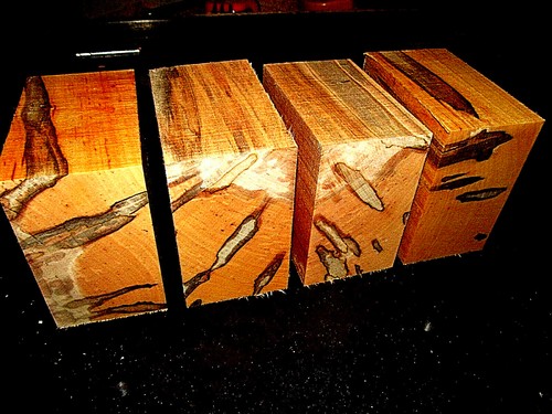 Four beautiful ambrosia maple - four,