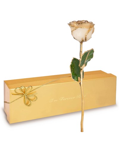 Forever rose handdipped 24k - forever, in