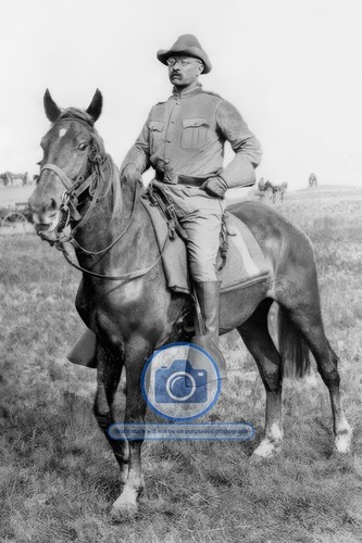 President theodore roosevelt - president,
