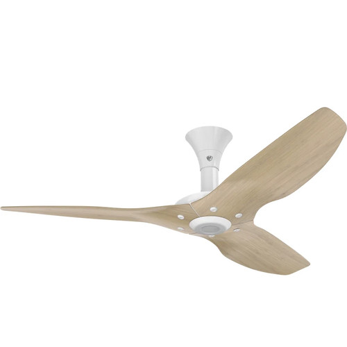 Big ass fans - big, low