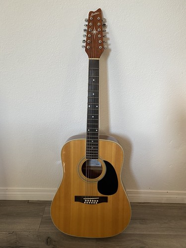 Montana acoustic string - acoustic, 12