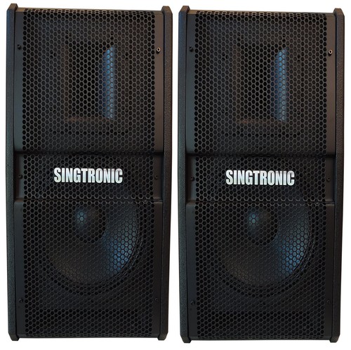 Singtronic professional 3000w - professional,