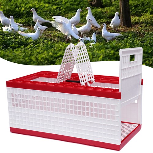 Racing pigeon carrier box - pigeon,