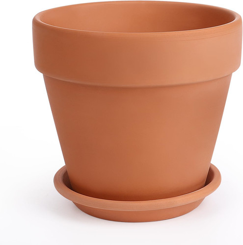 Terracotta pot with - terracotta,