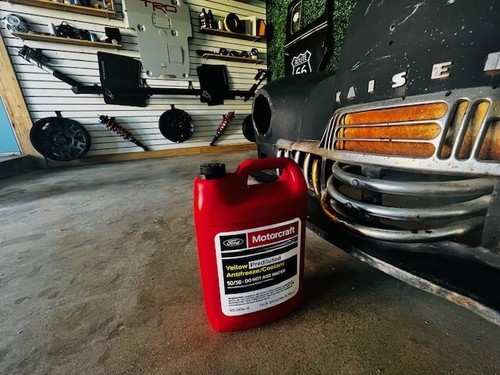 Motorcraft vc13dlg gallon - ,