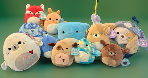 Squishmallow bundle 11 - squishmallow,
