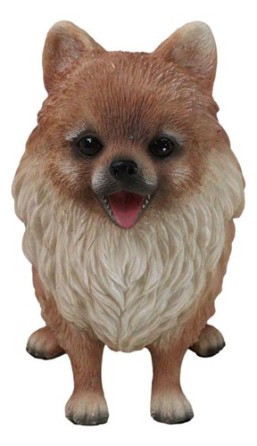 Lifelike adorable pet - lifelike, pal