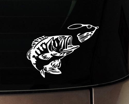 Bass fishing fish bones - bones, car