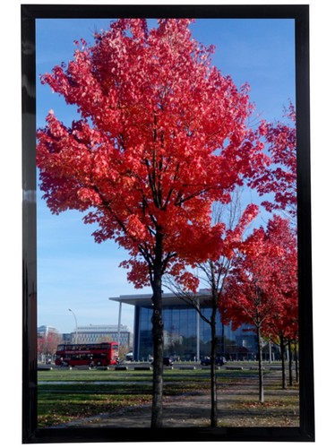 11x17 picture frame black - picture,