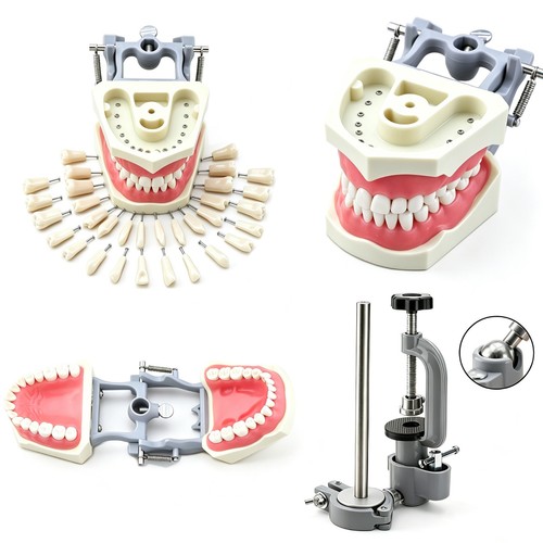 Columbia dentoform 860 dental - dentoform,