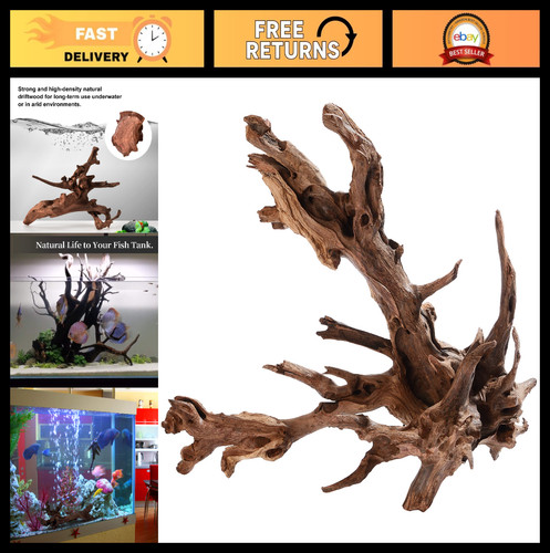 Natural large driftwood for - large,