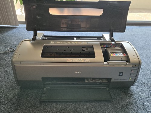 Epson stylus photo r1800 - photo,