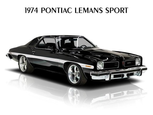 1974 pontiac lemans sport new - 1974,