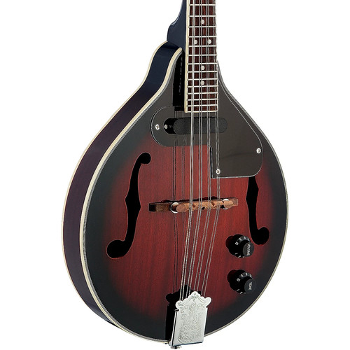 Stagg acoustic electric - stagg, acoustic-electric