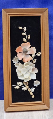 Vintage wood framed seashell - framed,