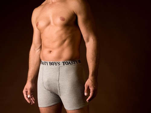 Toasty boys organic boxer - boys,
