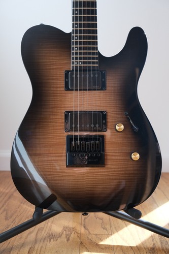 Esp ltd 1000 evertune - te-1000,