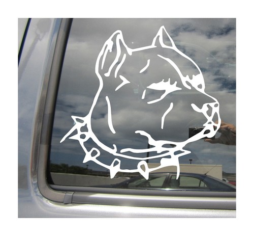 Pit bull dog head american - head,