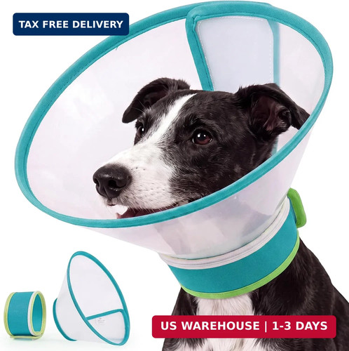 Dog cone collar - to, stop