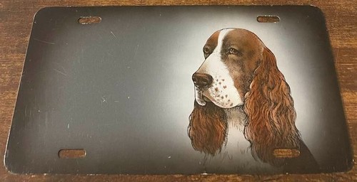 Brittany cocker spaniel - cocker, dog
