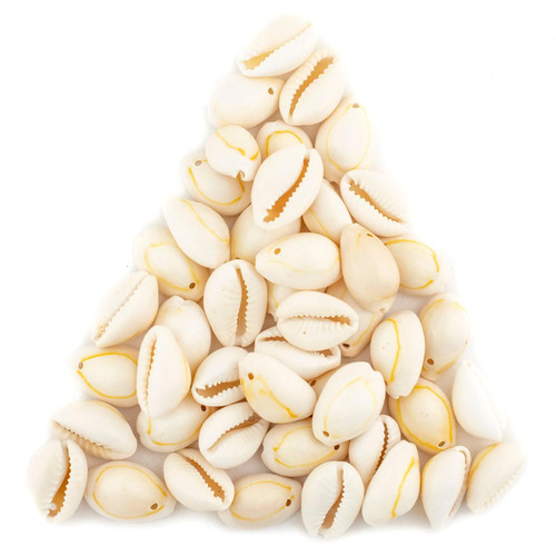 Beige drilled cowrie shells - beige,