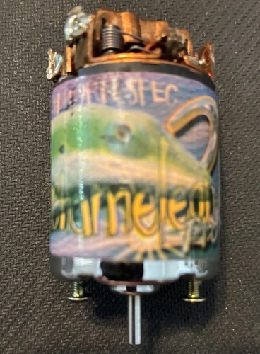 Vintage trinity chameleon - trinity, 2