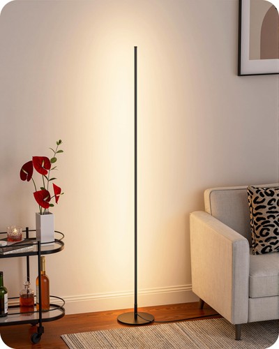 Floor lamp with remote - 57.5",
