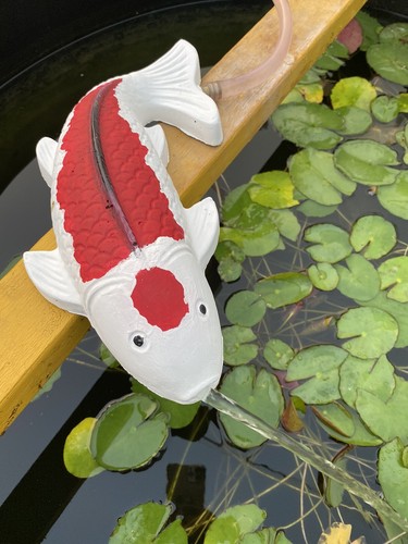 Concrete koi fish fountain - fish,
